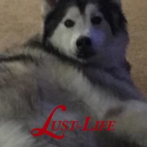 Meet your Posher, Eliza